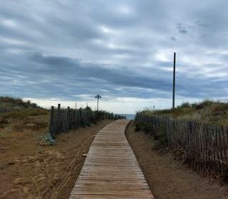 Location  Appartement 