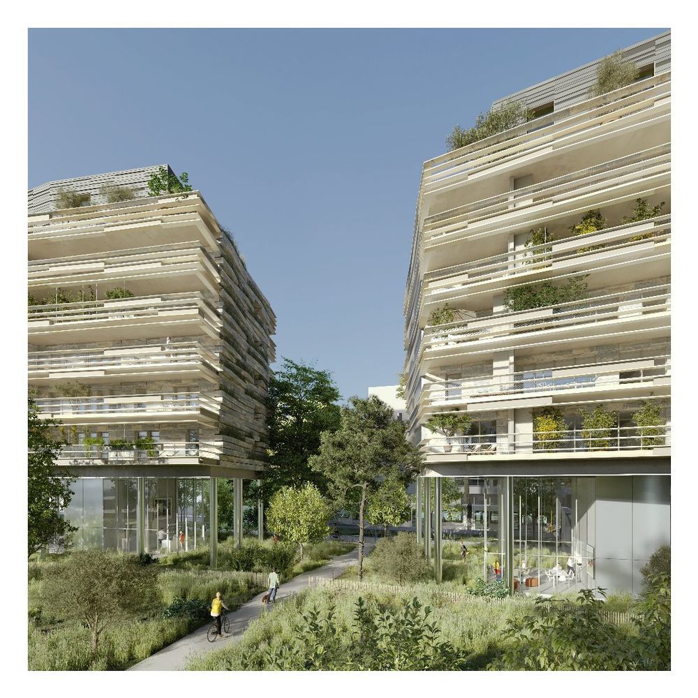 Appartements neufs   Montpellier (34000)