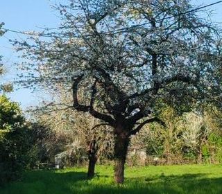  Terrain � vendre 2476 m�