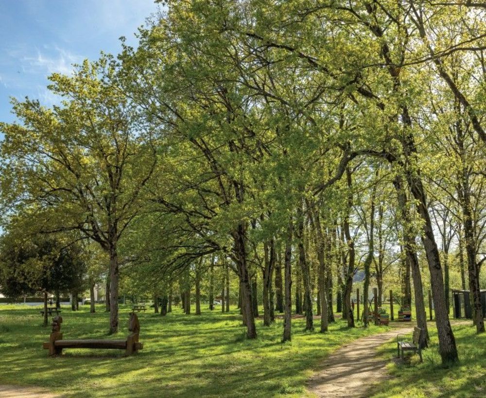 Appartements neufs   Pont-Pan (35131)