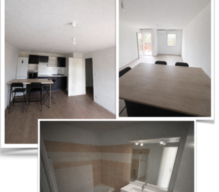  Appartement � louer 3 pi�ces 52 m� Albi