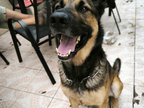 ROCKET 200 26300 Alixan