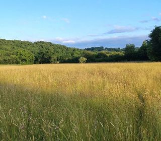  Terrain � vendre 1157 m�