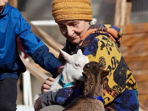 2 Boucs Miniatures tr&egrave;s affectueux 400 38680 Pont-en-royans