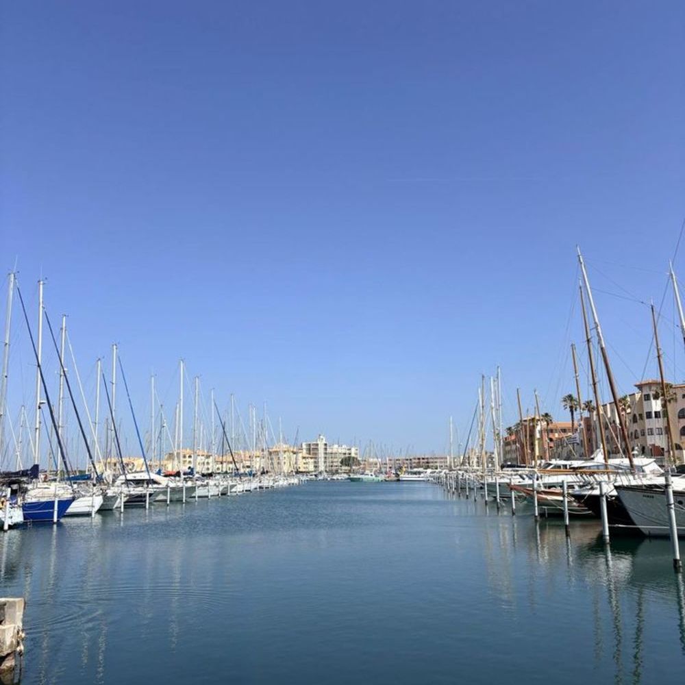   Appartement COSY. Tout a pieds ( Port et pPage) Languedoc-Roussillon, Port Leucate (11370)