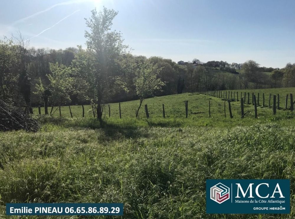 Maisons neuves   Guiche (64520)