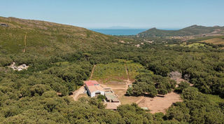  Propri�t�/ch�teau � vendre 15 + pi�ces 1200 m�