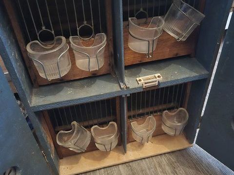 cages a oiseaux plus de transports 20 83000 Toulon