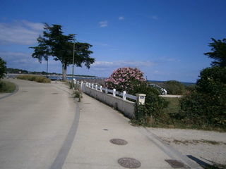  Appartement � vendre 2 pi�ces 31 m�