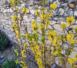  Maison � vendre 4 pi�ces 92 m�