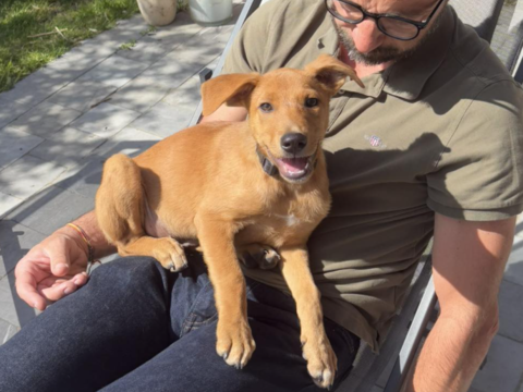 Milo le beau gosse 300 59000 Lille