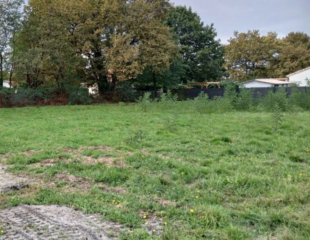 Maisons neuves   Hostens (33125)