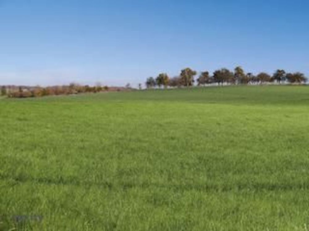   Waldwisse (57480)