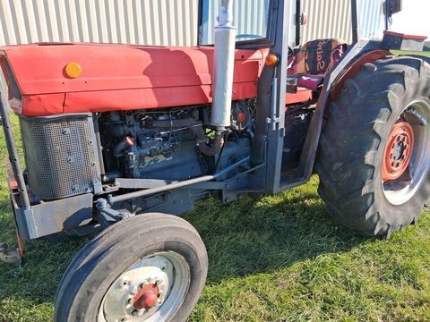 MASSEY FERGUSON Tracteur agricole 1974 occasion Lu&ccedil;on 85400
