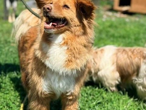 BABY petit crois&eacute; 5 ans 250 59000 Lille