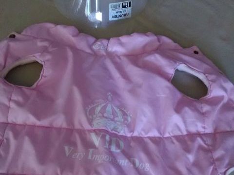 Accessoires pour Chiens (4) / &agrave; l'unit&eacute; 8 84300 Taillades