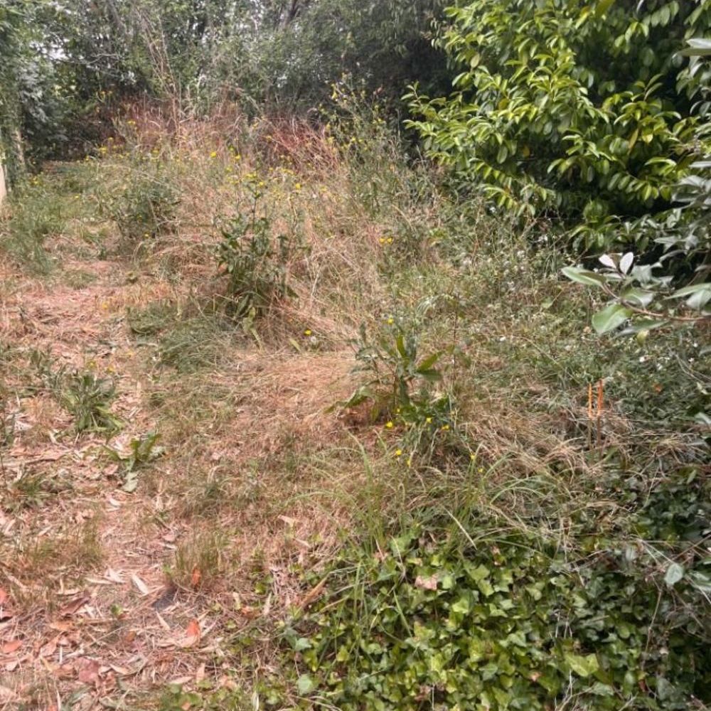 Maisons neuves   B�guey (33410)