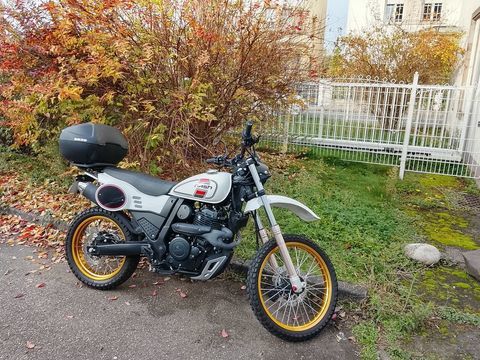 Moto MASH 2024 occasion Bischheim 67800