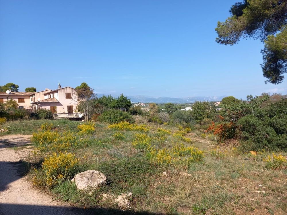 Appartements neufs   Antibes (06600)