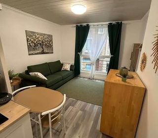  Appartement � louer 1 pi�ce 17 m�