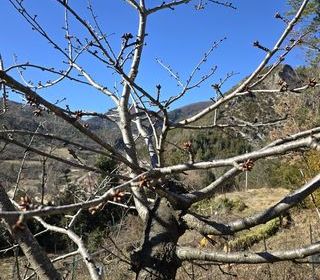  Terrain � vendre 422 m�