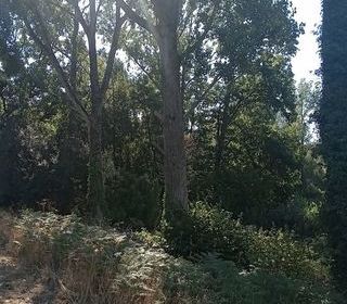  Terrain � vendre 5934 m�