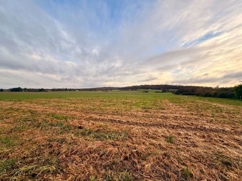 Maisons neuves   Mouleydier (24520)