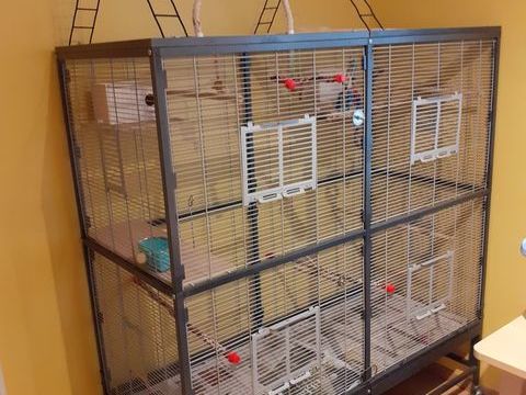 voli&eacute;re d'int&eacute;rieur 430 33420 Cabara