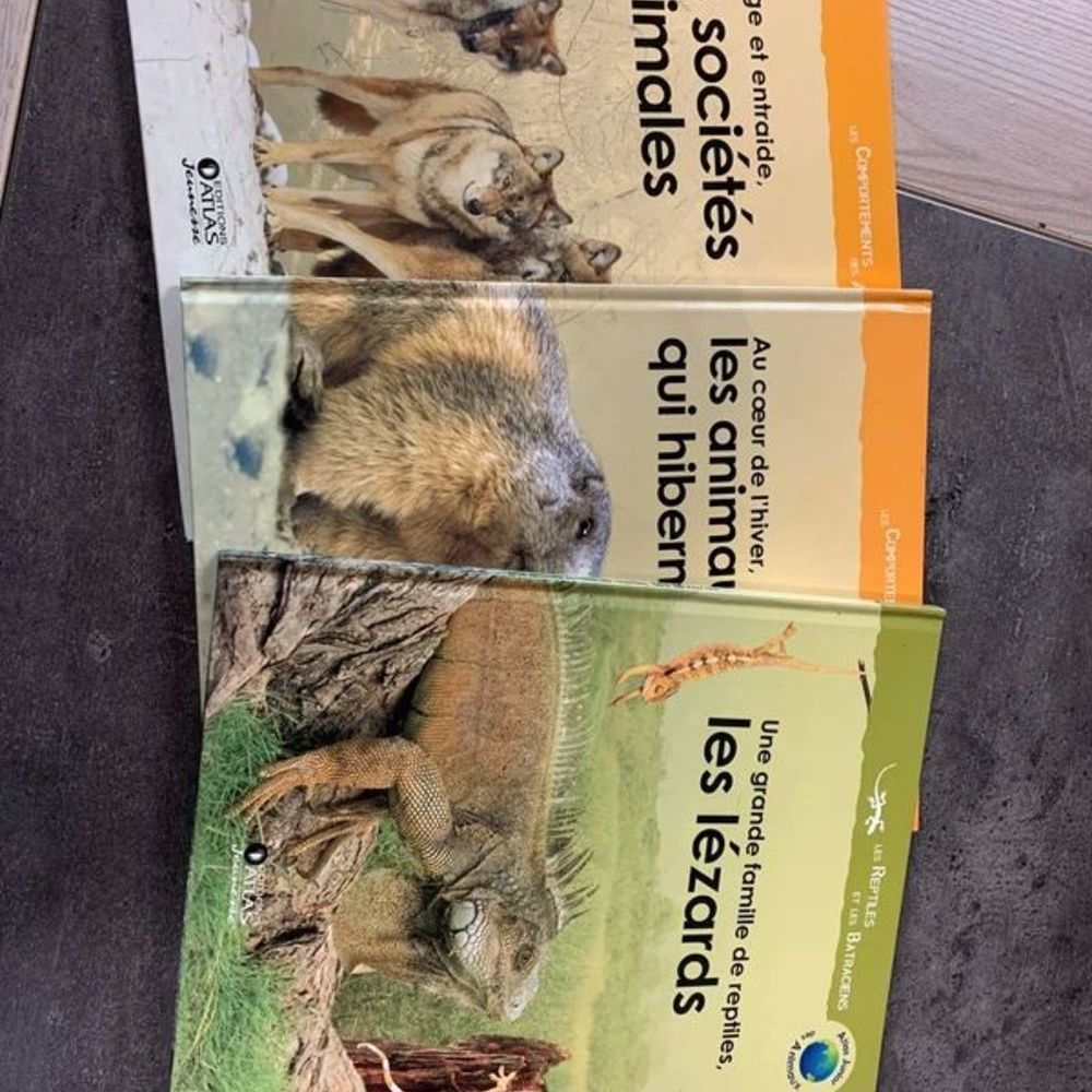 Atlas junior Livres et BD