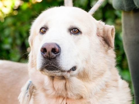 NEMO 320 27620 Gasny