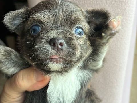 &Agrave; r&eacute;server pour d&eacute;but avril  690 86320 Lussac-les-ch�teaux