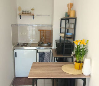  Appartement � louer 1 pi�ce 27 m�