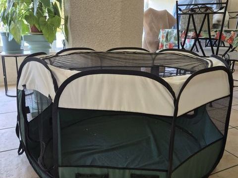  PARC POUR CHIOT 20 47300 Villeneuve-sur-lot