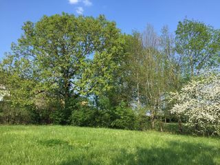  Terrain � vendre 1650 m� Saint-honor�-les-bains