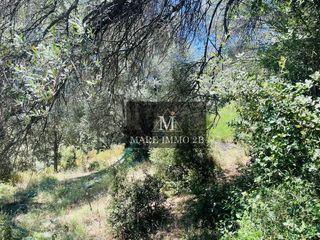  Terrain � vendre 1985 m�