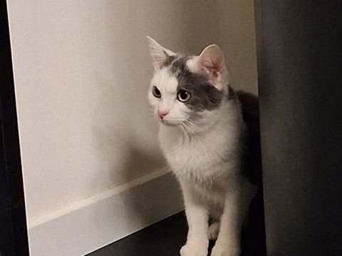 OURANOS 240 91630 Marolles-en-hurepoix