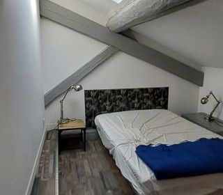  Duplex/triplex � vendre 1 pi�ce 28 m�