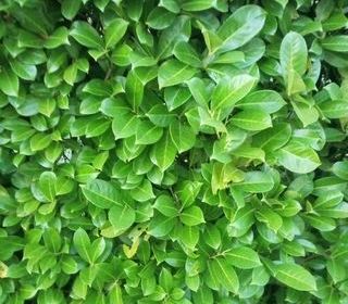  Appartement � vendre 13 pi�ces 100 m�