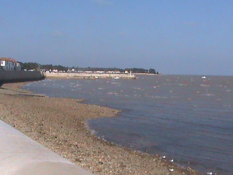   Ile de R�, RARE, bord de mer, site class� F3rdc Appartement - 3 pi�ce(s) - 68 m�