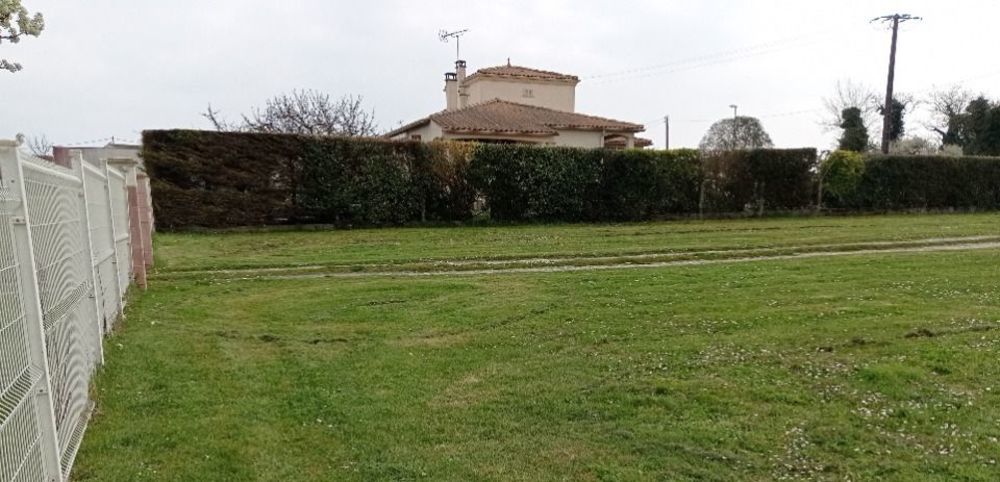 Maisons neuves   Meschers-sur-Gironde (17132)