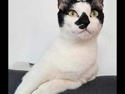 AVA 1 26700 Pierrelatte