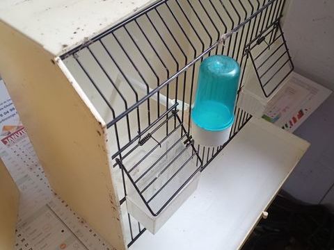 CAGES D EXPOSITION OU AUTRES 14 26130 Clansayes