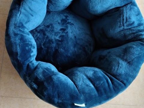 Panier  pour chat ? ou petit chien ? 17 34090 Montpellier