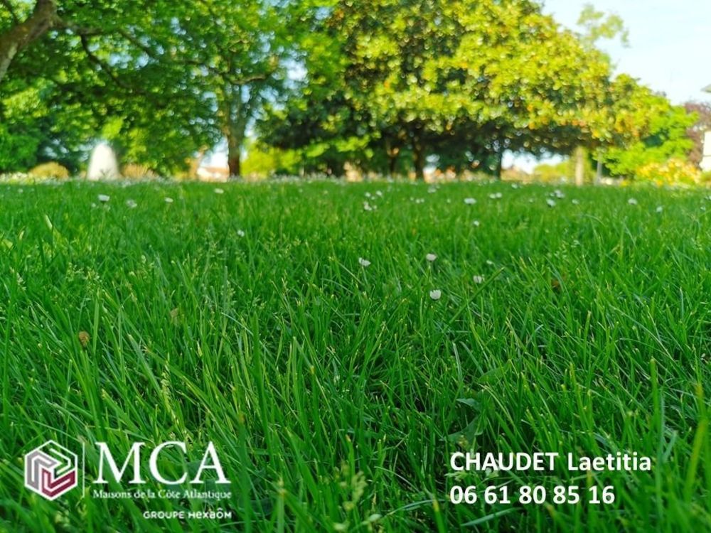 Maisons neuves   Gujan-Mestras (33470)