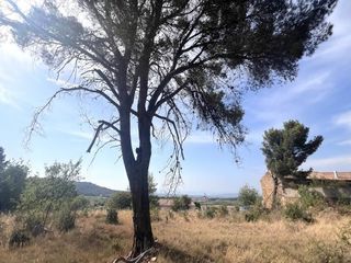  Terrain � vendre 4795 m�