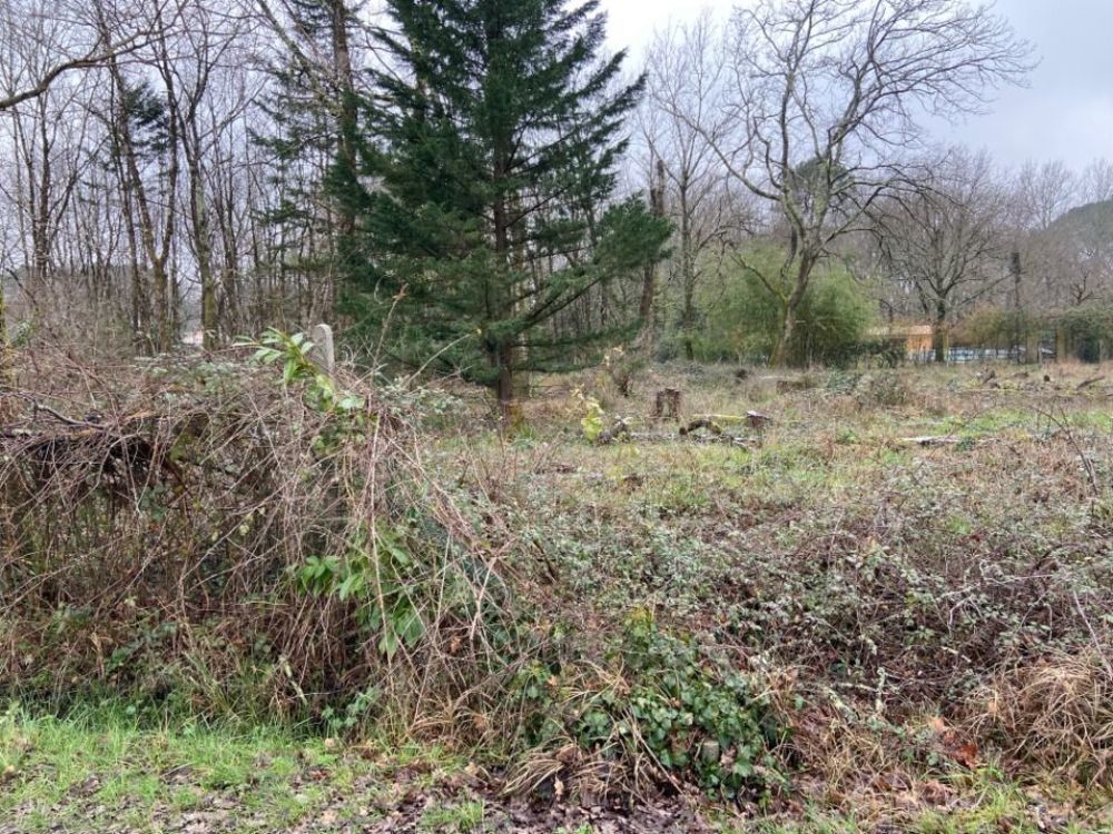 Maisons neuves   L�ognan (33850)