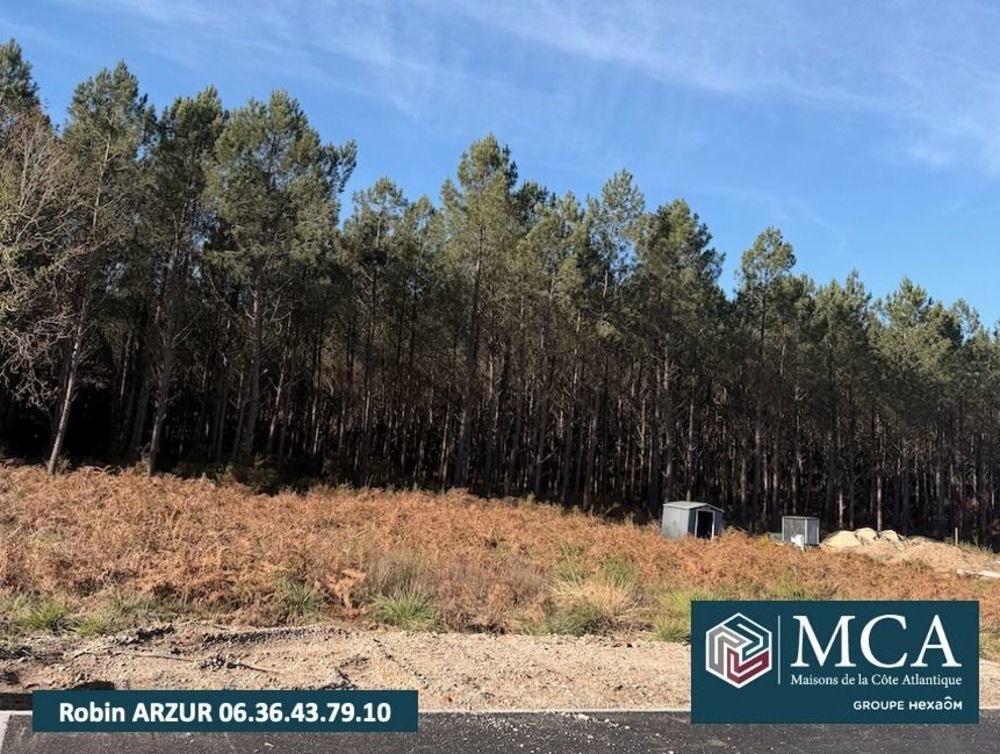   Vielle-Saint-Girons (40560)