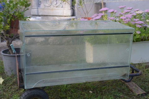 terrarium- vivarium 60 82000 Montauban