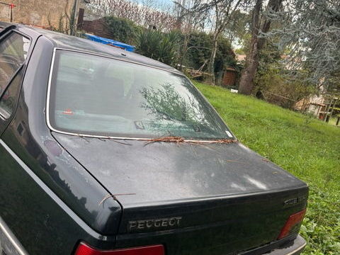 Peugeot 405 1.9 D GLD 1993 occasion Landiras 33720