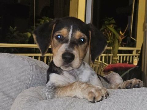 Asko, c'est moi je vous attends 300 78000 Versailles